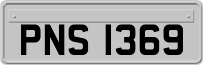 PNS1369