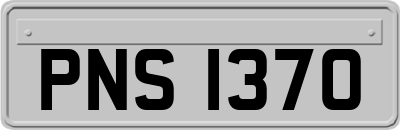PNS1370