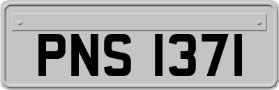 PNS1371
