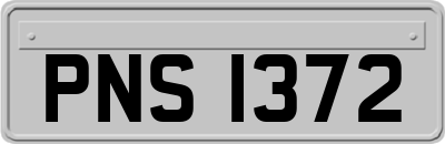 PNS1372