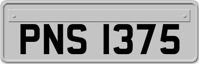 PNS1375