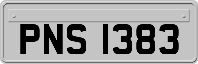 PNS1383