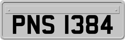 PNS1384