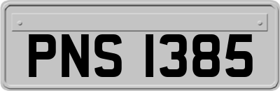 PNS1385