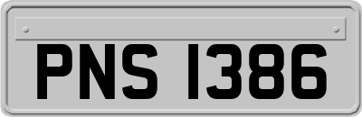 PNS1386