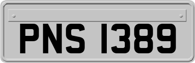 PNS1389
