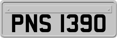 PNS1390