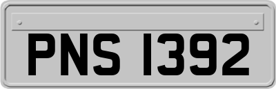 PNS1392