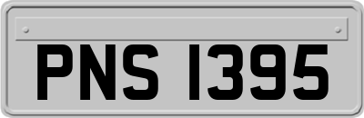 PNS1395