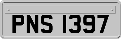 PNS1397
