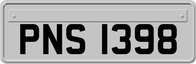 PNS1398