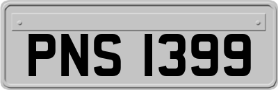 PNS1399