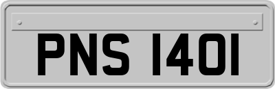 PNS1401