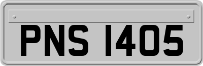 PNS1405