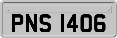 PNS1406