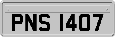 PNS1407