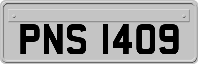 PNS1409