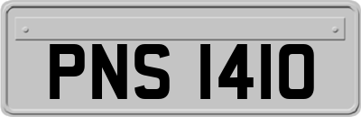 PNS1410
