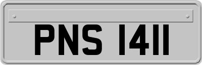 PNS1411