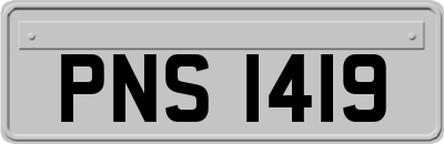 PNS1419