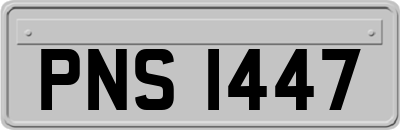PNS1447