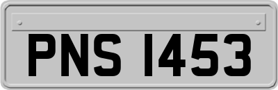 PNS1453