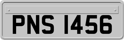 PNS1456