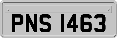 PNS1463