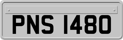 PNS1480