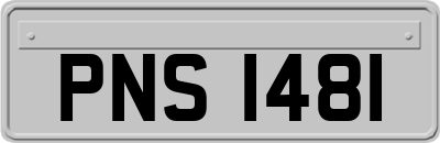 PNS1481