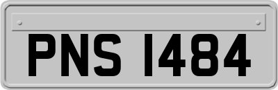 PNS1484