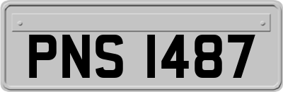 PNS1487