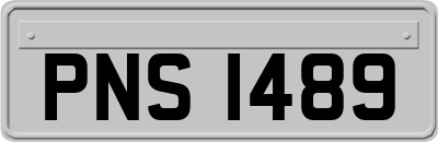 PNS1489
