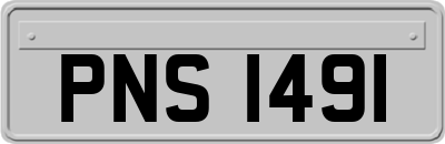 PNS1491