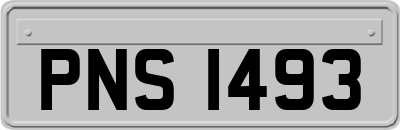 PNS1493