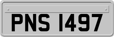 PNS1497