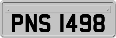PNS1498