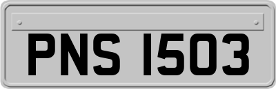 PNS1503