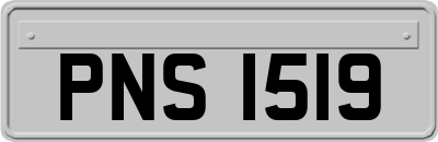 PNS1519