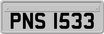 PNS1533