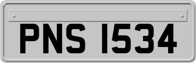 PNS1534
