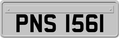 PNS1561