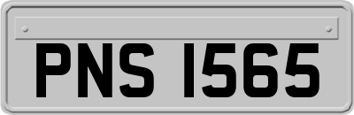 PNS1565