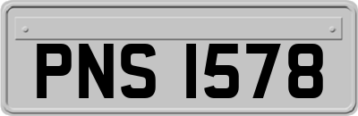 PNS1578