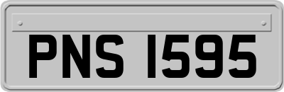 PNS1595