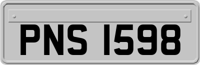 PNS1598