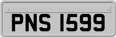 PNS1599