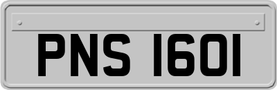 PNS1601