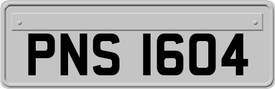 PNS1604
