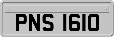 PNS1610
